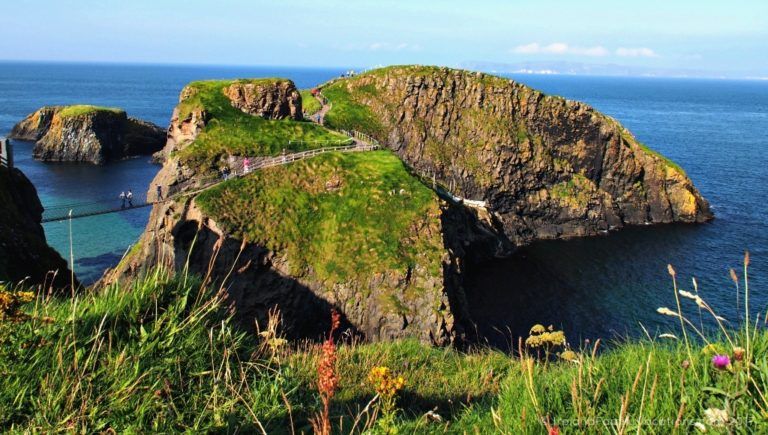 A Giant Adventure Small Group Tour, Spring 2026