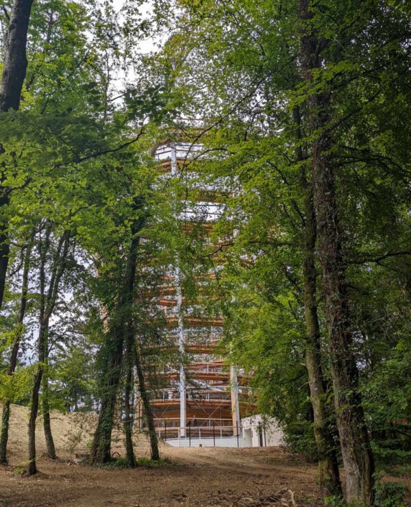 Beyond_the_Trees_Avondale_Viewing _Tower_Wicklow_Ireland
