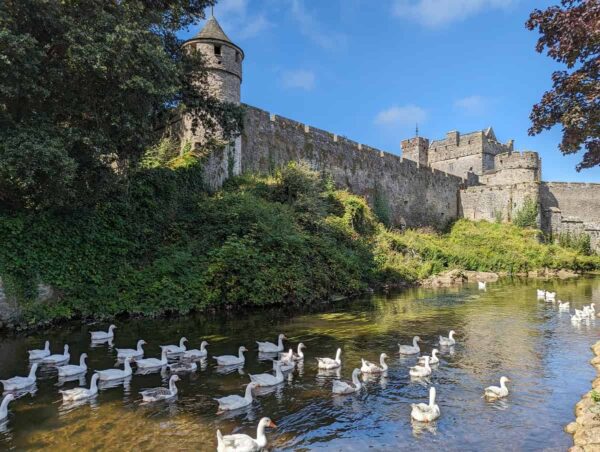 Cahir_Castle_Tipperary_Ireland_photo_Credit_Jody_Halsted_IrelandFamilyVacations.com