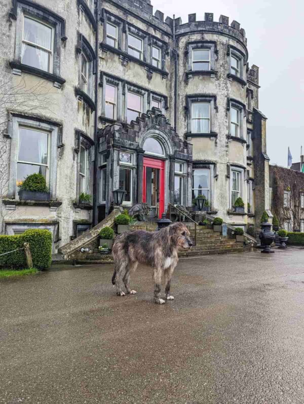 Ireland Itinerary Review - Image 8