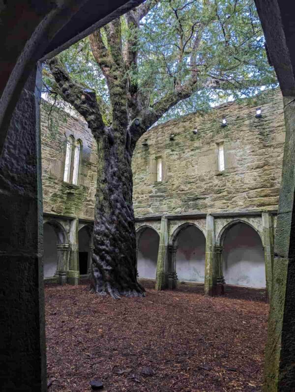 Ireland Itinerary Review - Image 6