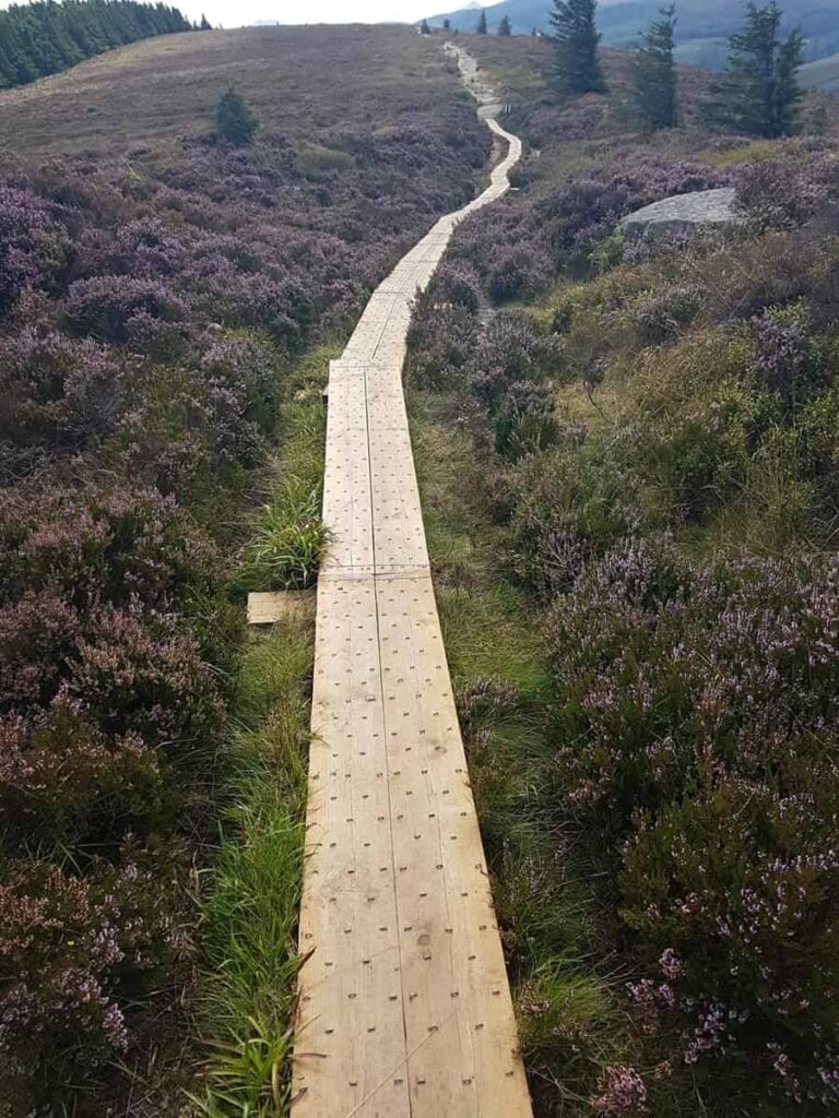 trail in the Dublin Mountains